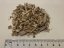 Dřevo Palo Santo (Peru) - ŠTĚPKY - 20 g