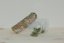 Šalvěj Bílá + Eukalyptus (Kalifornie), vykuřovací svazek Mini - 10 cm, zvýhodněná sada 2 kusů