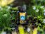 BEWIT PRAWTEIN CARBON ELIXIR PLUS s kadidlovým esenciálním olejem (dříve C60 with Frankincense) + POUKAZ 300 Kč