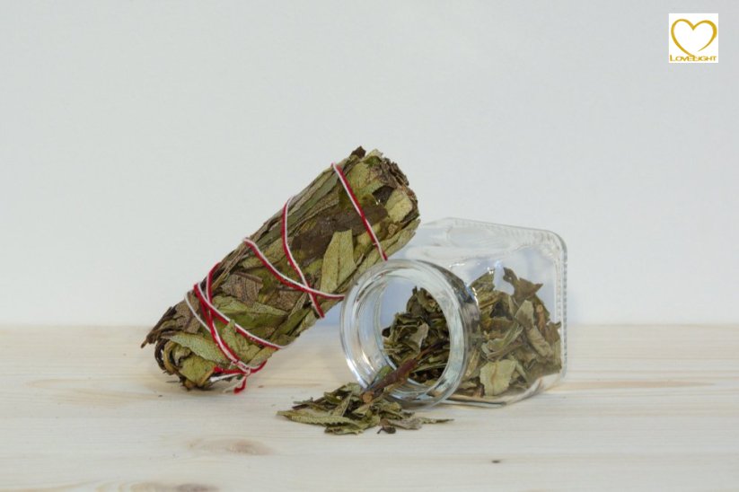 Yerba Santa (Kalifornie), vykuřovací svazek Mini - 10 cm