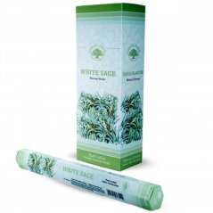 White Sage (Bílá Šalvěj) - Vonné tyčinky GreenTree - Holandsko/Indie - balení 20 ks