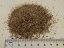Dřevo Palo Santo (Peru) - PILINY - 20 g